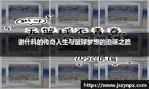 谢什科的传奇人生与篮球梦想的追逐之路